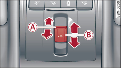 Detail of headliner: Button for panorama sun roof